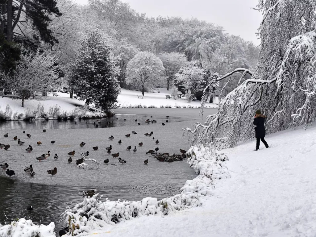 Photo du grand parc Barbieux en hiver avec de la neige à Roubaix